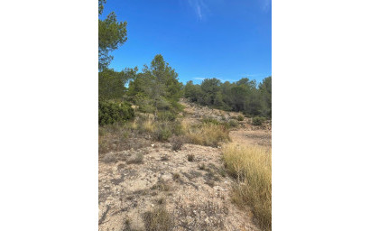 Resale - Land -
Pinoso - Pinoso Alicante