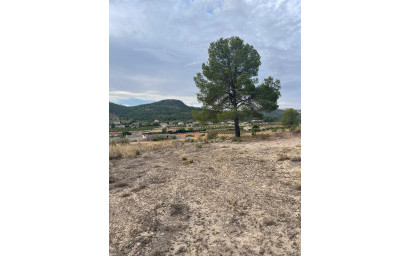 Resale - Land -
Pinoso - Pinoso Alicante