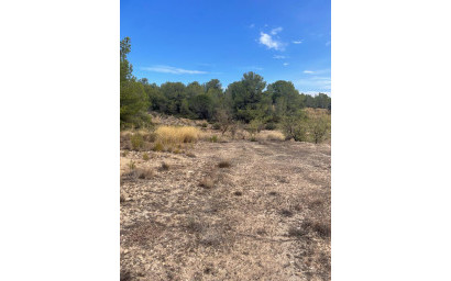 Resale - Land -
Pinoso - Pinoso Alicante