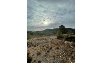 Resale - Land -
Pinoso - Pinoso Alicante
