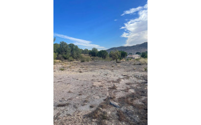 Resale - Land -
Pinoso - Pinoso Alicante