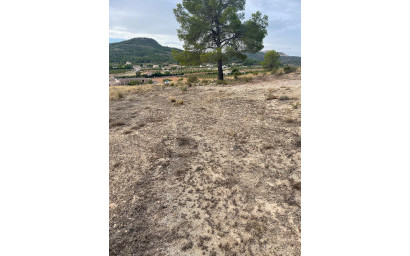Resale - Land -
Pinoso - Pinoso Alicante