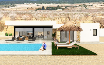 Nouvelle construction - Villa -
Pinoso