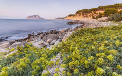 Nieuwbouw - Villa -
Benissa - Cala Advocat