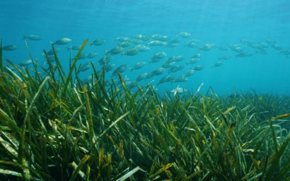 Nieuwbouw - Villa -
Benissa - Racó Del Galeno