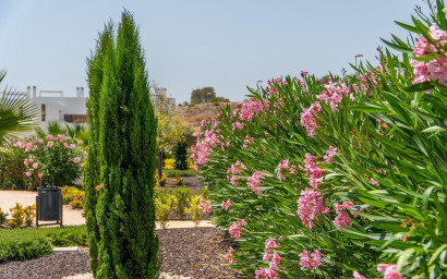 New Build - Apartment -
Orihuela Costa - Vistabella Golf