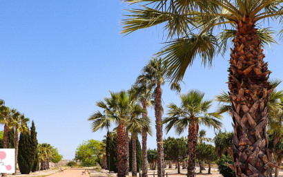 Nieuwbouw - Villa -
San Fulgencio - La Escuera