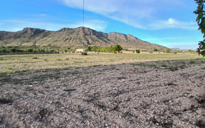 Herverkoop - Landhuis -
Yecla