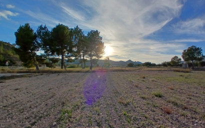 Herverkoop - Landhuis -
Yecla