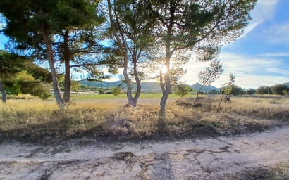 Herverkoop - Landhuis -
Yecla