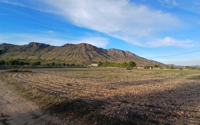 Herverkoop - Landhuis -
Yecla