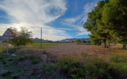 Herverkoop - Landhuis -
Yecla