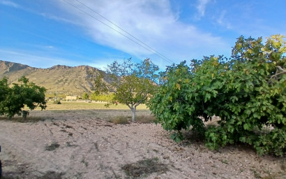 Herverkoop - Landhuis -
Yecla