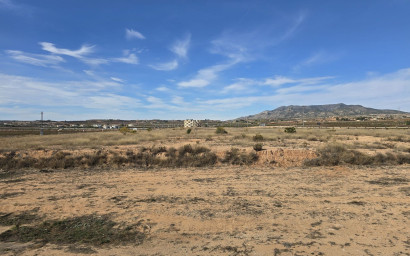 Herverkoop - Plat -
Pinoso