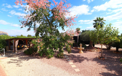 Resale - Finca / Country Property -
Orihuela - La Campaneta