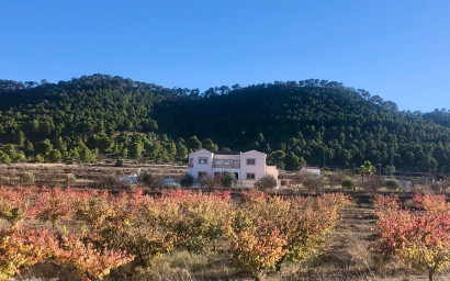 Resale - Villa -
Pinoso - Pinoso Alicante