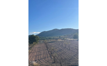 Resale - Villa -
Pinoso - Pinoso Alicante