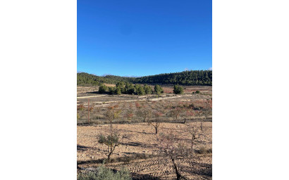 Resale - Villa -
Pinoso - Pinoso Alicante