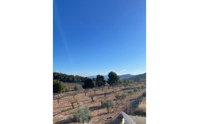 Resale - Villa -
Pinoso - Pinoso Alicante