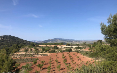 Resale - Villa -
Pinoso - Pinoso Alicante