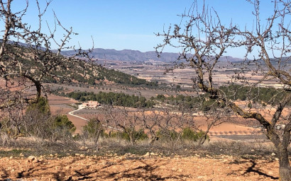 Resale - Villa -
Pinoso - Pinoso Alicante