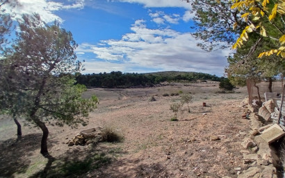 Revente - Maison de campagne -
Caudete