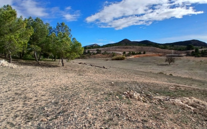 Revente - Maison de campagne -
Caudete