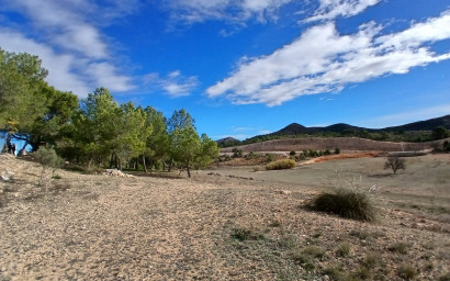 Revente - Maison de campagne -
Caudete