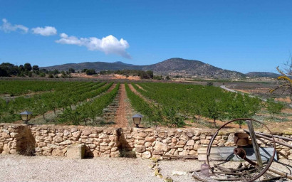 Herverkoop - Villa -
Yecla - Yecla Murcia