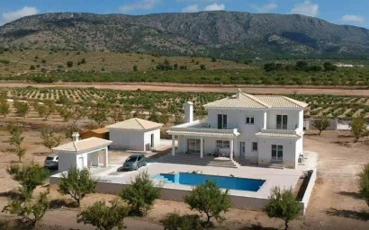 New Build - Villa -
Pinoso - Camino Del Prado