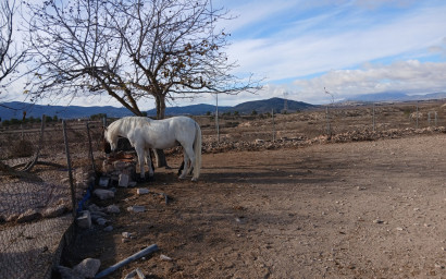 Herverkoop - Hippische installaties -
Monovar