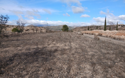 Herverkoop - Hippische installaties -
Monovar