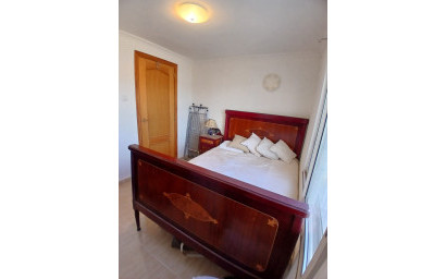 Herverkoop - Hippische installaties -
Monovar