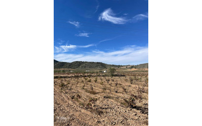 Resale - Finca / Country Property -
Canada De La Lena - Canada de la Lena Murcia