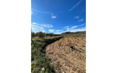 Resale - Finca / Country Property -
Canada De La Lena - Canada de la Lena Murcia