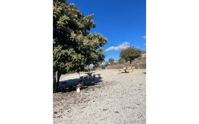 Revente - Maison de campagne -
Cañada del Trigo - Cañada del Trigo Murcia