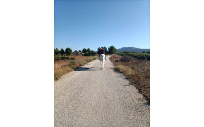 Herverkoop - Hippische installaties -
Monovar