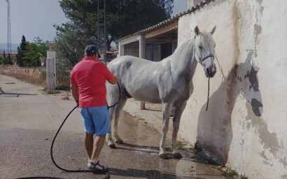 Herverkoop - Hippische installaties -
Monovar