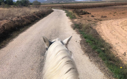 Herverkoop - Hippische installaties -
Monovar
