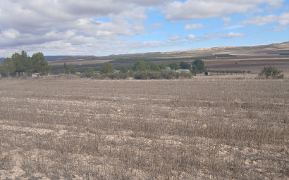 Revente - Terrain -
Yecla