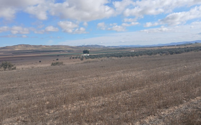 Revente - Terrain -
Yecla