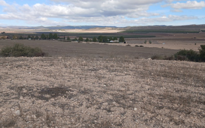 Revente - Terrain -
Yecla