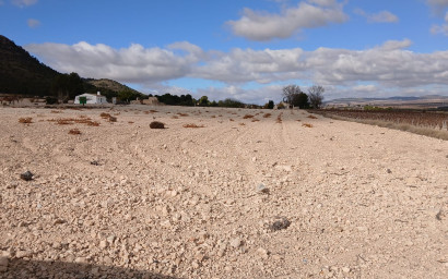 Revente - Terrain -
Yecla