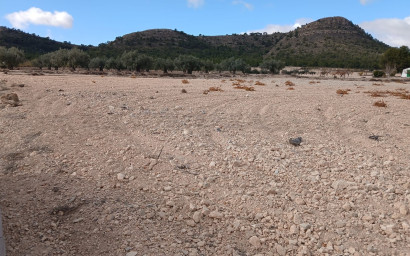 Revente - Terrain -
Yecla
