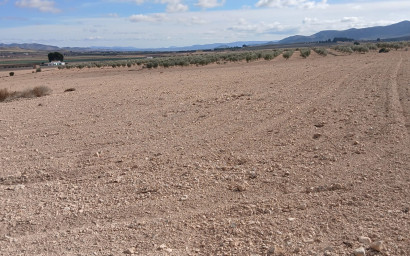 Revente - Terrain -
Yecla