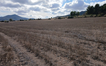 Revente - Terrain -
Yecla