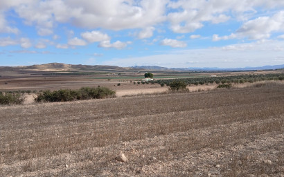 Revente - Terrain -
Yecla