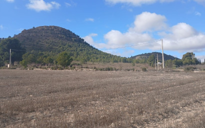 Revente - Terrain -
Yecla