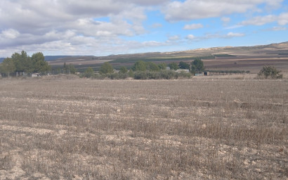 Revente - Terrain -
Yecla