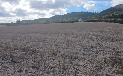 Revente - Terrain -
Yecla